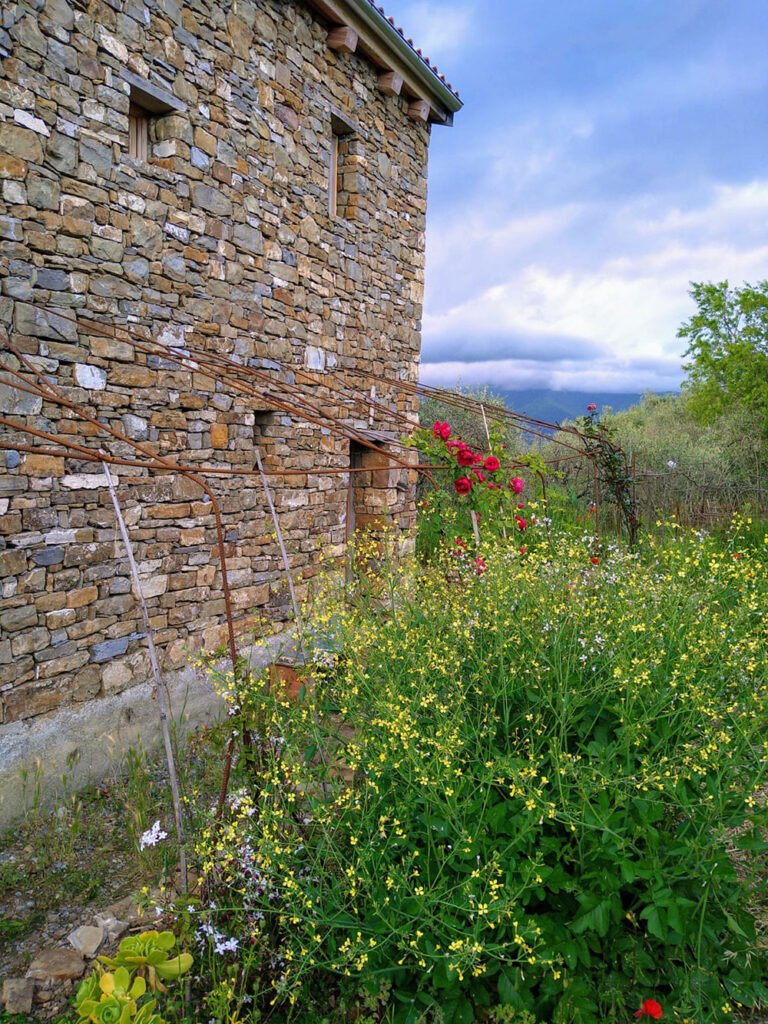 Apricale liguria cottage for sale 70 imp 44085 116