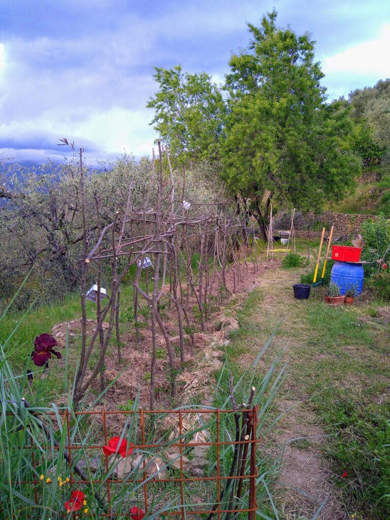 Apricale liguria cottage for sale 70 imp 44085 127